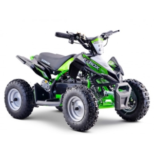 Quad Electrique